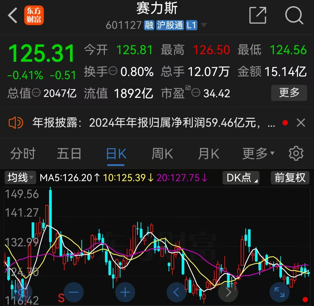 赛力斯2024财报刷新纪录