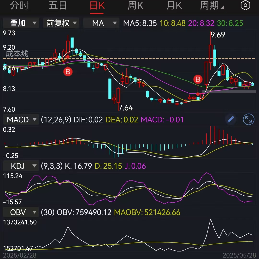 牛散张素芬2025最新持股明细一览