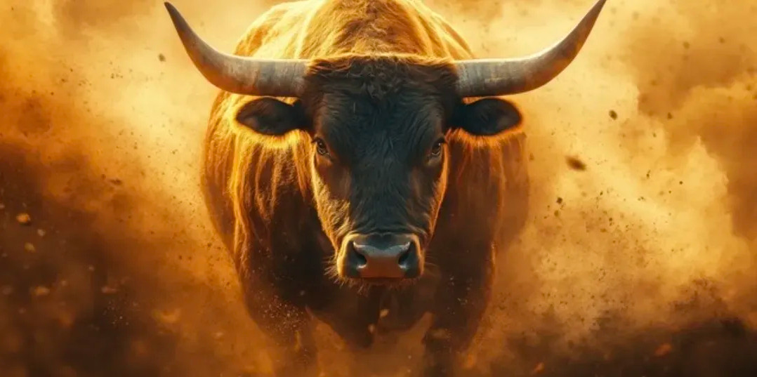 牛市两大要素回来了