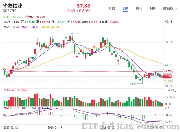 华友钴业:2025年净利润61.1亿元,拟10派5元